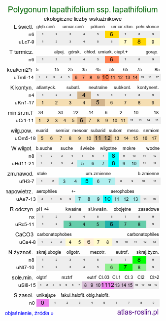 ekologiczne liczby wskaźnikowe Polygonum lapathifolium ssp. lapathifolium (rdest szczawiolistny typowy)