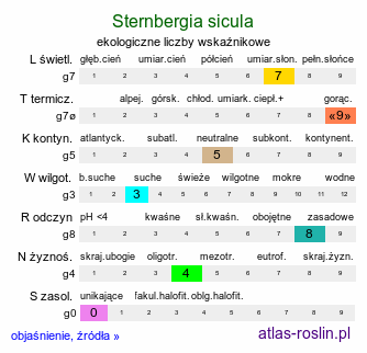 ekologiczne liczby wskaźnikowe Sternbergia sicula