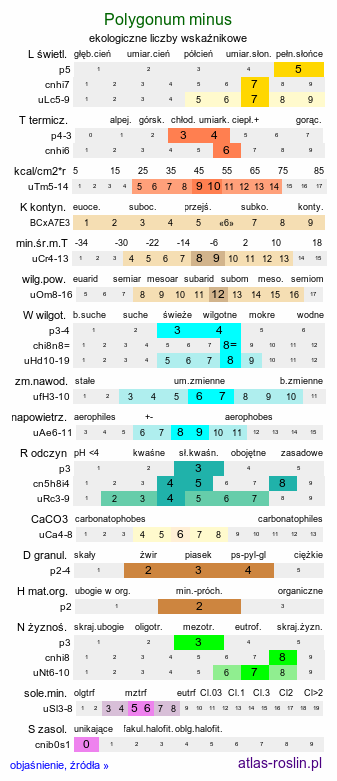 ekologiczne liczby wskaźnikowe Polygonum minus (rdest mniejszy)