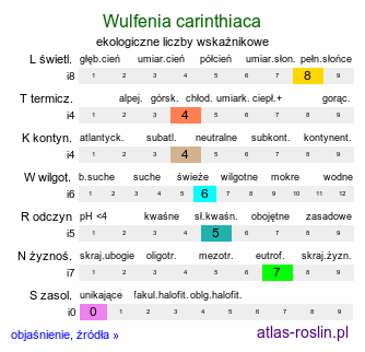 ekologiczne liczby wskaźnikowe Wulfenia carinthiaca (wulfenia karyncka)