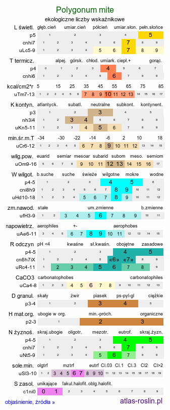 ekologiczne liczby wskaźnikowe Polygonum mite (rdest łagodny)