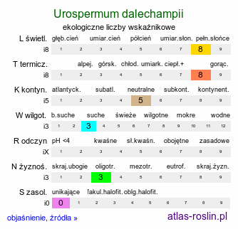 ekologiczne liczby wskaźnikowe Urospermum dalechampii