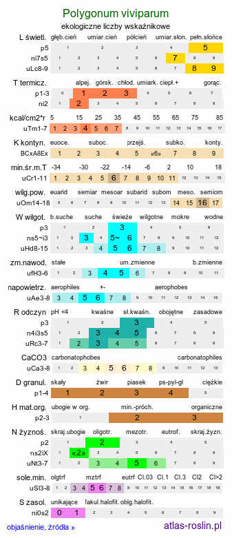 ekologiczne liczby wskaźnikowe Polygonum viviparum (rdest żyworodny)