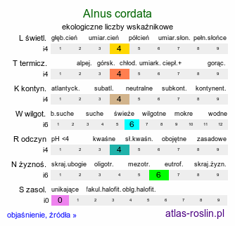 ekologiczne liczby wskaźnikowe Alnus cordata (olsza sercowata)