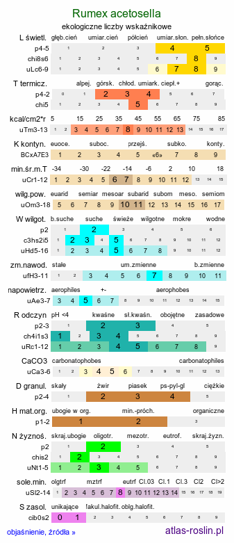 ekologiczne liczby wskaźnikowe Rumex acetosella (szczaw polny)