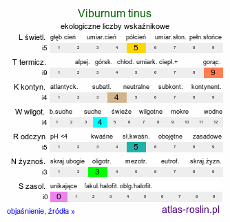 ekologiczne liczby wskaźnikowe Viburnum tinus (kalina wawrzynowata)