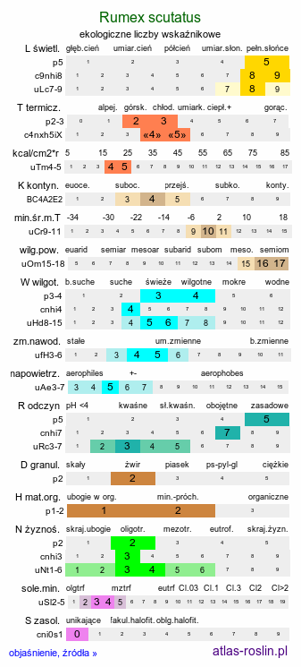 ekologiczne liczby wskaźnikowe Rumex scutatus (szczaw tarczolistny)