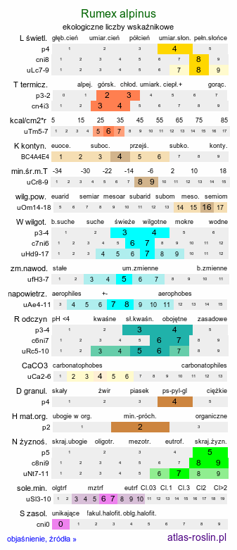 ekologiczne liczby wskaźnikowe Rumex alpinus (szczaw alpejski)