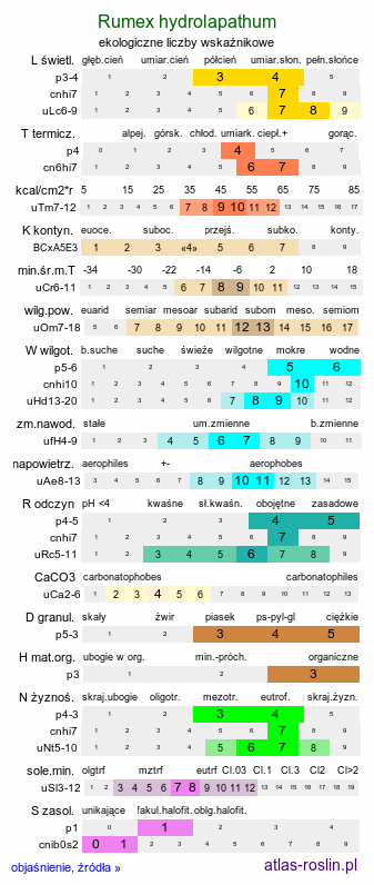 ekologiczne liczby wskaźnikowe Rumex hydrolapathum (szczaw lancetowaty)