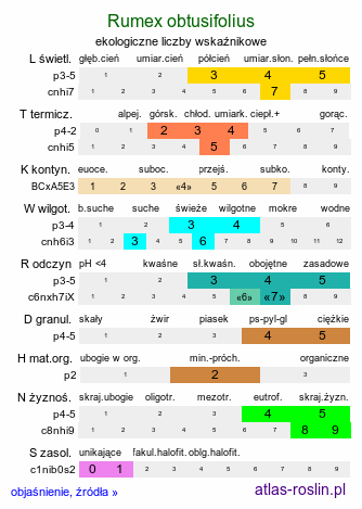 ekologiczne liczby wskaźnikowe Rumex obtusifolius (szczaw tępolistny)