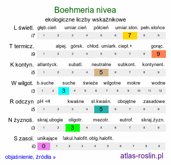 ekologiczne liczby wskaźnikowe Boehmeria nivea (szczmiel biały)