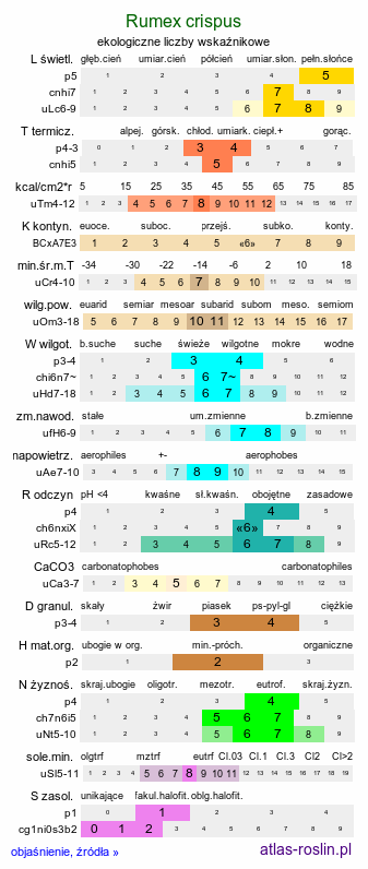 ekologiczne liczby wskaźnikowe Rumex crispus (szczaw kędzierzawy)