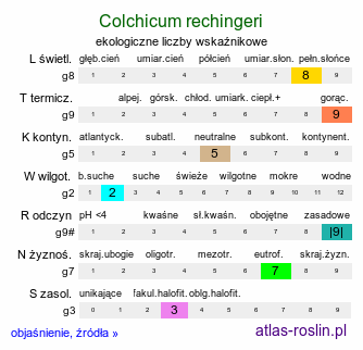 ekologiczne liczby wskaźnikowe Colchicum rechingeri