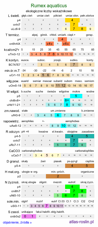 ekologiczne liczby wskaźnikowe Rumex aquaticus (szczaw wodny)