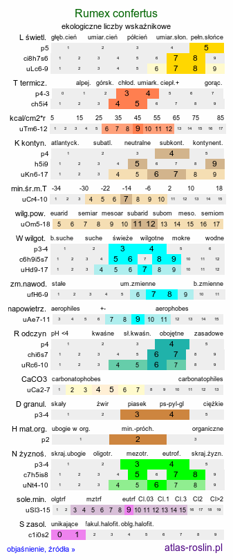 ekologiczne liczby wskaźnikowe Rumex confertus (szczaw omszony)