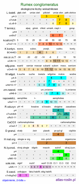 ekologiczne liczby wskaźnikowe Rumex conglomeratus (szczaw skupiony)