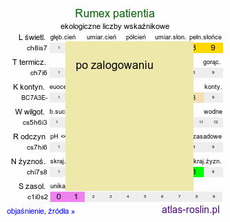 ekologiczne liczby wskaźnikowe Rumex patientia (szczaw żółty)