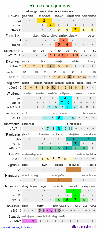 ekologiczne liczby wskaźnikowe Rumex sanguineus (szczaw gajowy)
