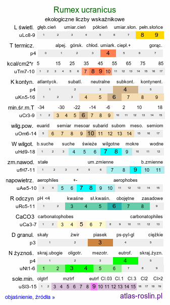 ekologiczne liczby wskaźnikowe Rumex ucranicus (szczaw ukraiński)