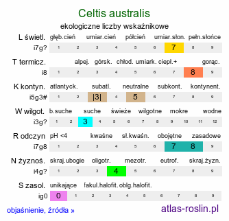 ekologiczne liczby wskaźnikowe Celtis australis (wiązowiec południowy)