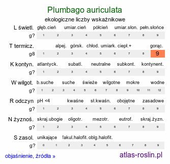 ekologiczne liczby wskaźnikowe Plumbago auriculata (ołownik uszkowaty)