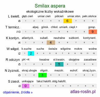 ekologiczne liczby wskaźnikowe Smilax aspera (kolcorośl szorstki)