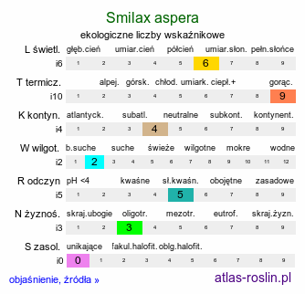 ekologiczne liczby wskaźnikowe Smilax aspera (kolcorośl szorstki)