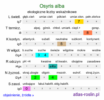 ekologiczne liczby wskaźnikowe Osyris alba