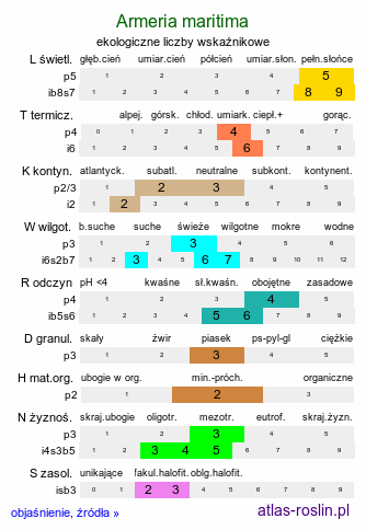 ekologiczne liczby wskaźnikowe Armeria maritima (zawciąg pospolity)