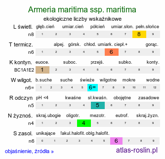 ekologiczne liczby wskaźnikowe Armeria maritima ssp. maritima (zawciąg pospolity typowy)