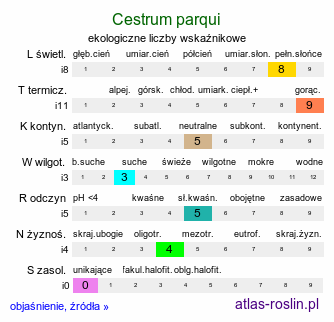 ekologiczne liczby wskaźnikowe Cestrum parqui