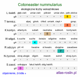 ekologiczne liczby wskaźnikowe Cotoneaster nummularius (irga kreteńska)