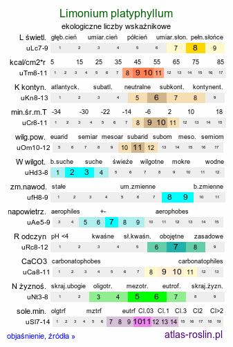 ekologiczne liczby wskaźnikowe Limonium platyphyllum (zatrwian szerokolistny)