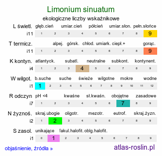 ekologiczne liczby wskaźnikowe Limonium sinuatum (zatrwian wrębny)