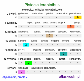 ekologiczne liczby wskaźnikowe Pistacia terebinthus (pistacja terpentynowa)