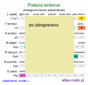 ekologiczne liczby wskaźnikowe Pistacia lentiscus (pistacja kleista)