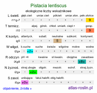 ekologiczne liczby wskaźnikowe Pistacia lentiscus (pistacja kleista)