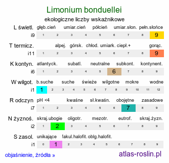 ekologiczne liczby wskaźnikowe Limonium bonduellei (zatrwian Bonduella)