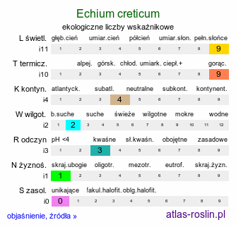 ekologiczne liczby wskaźnikowe Echium creticum (żmijowiec grecki)