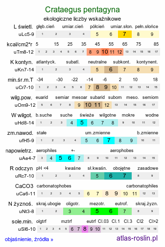 ekologiczne liczby wskaźnikowe Crataegus pentagyna (głóg pięcioszyjkowy)