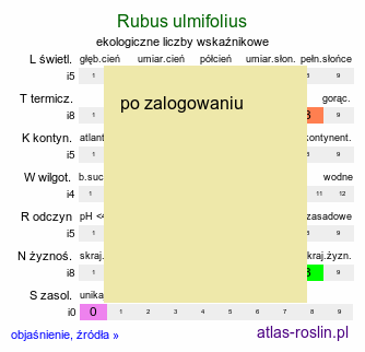 ekologiczne liczby wskaźnikowe Rubus ulmifolius (jeżyna wiązolistna)