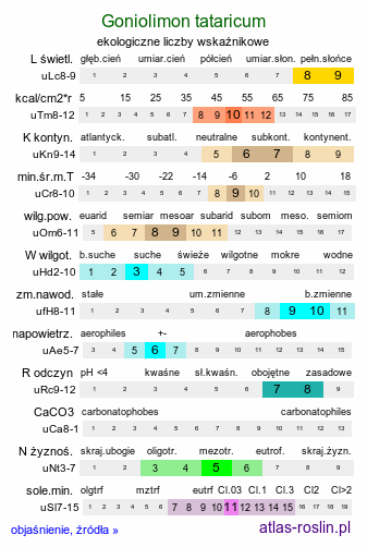 ekologiczne liczby wskaźnikowe Goniolimon tataricum (zatrwian tatarski)