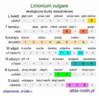 ekologiczne liczby wskaźnikowe Limonium vulgare (zatrwian zwyczajny)