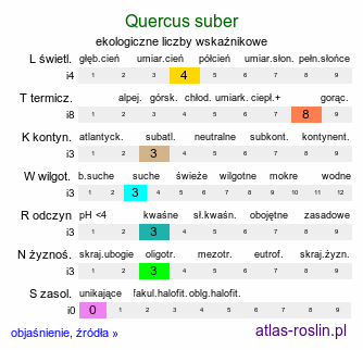 ekologiczne liczby wskaźnikowe Quercus suber (dąb korkowy)