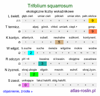 ekologiczne liczby wskaźnikowe Trifolium squarrosum