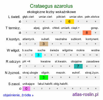 ekologiczne liczby wskaźnikowe Crataegus azarolus (głóg włoski)