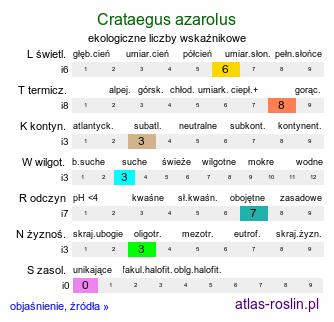 ekologiczne liczby wskaźnikowe Crataegus azarolus (głóg włoski)