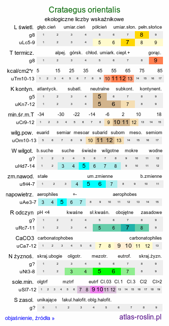 ekologiczne liczby wskaźnikowe Crataegus orientalis (głóg wschodni)