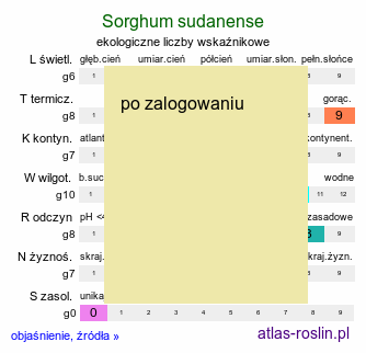 ekologiczne liczby wskaźnikowe Sorghum sudanense (sorgo sudańskie)