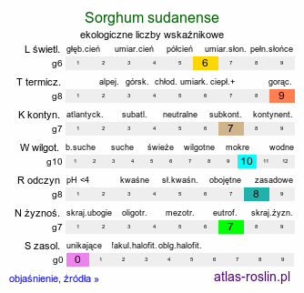 ekologiczne liczby wskaźnikowe Sorghum sudanense (sorgo sudańskie)